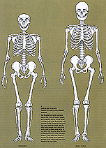 a comparison